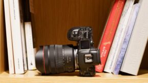 Canon RF 10-20mm f/4 L IS STM on Canon R5