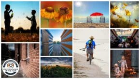 CJPOTY July 2023 shortlisted images for the Summer theme