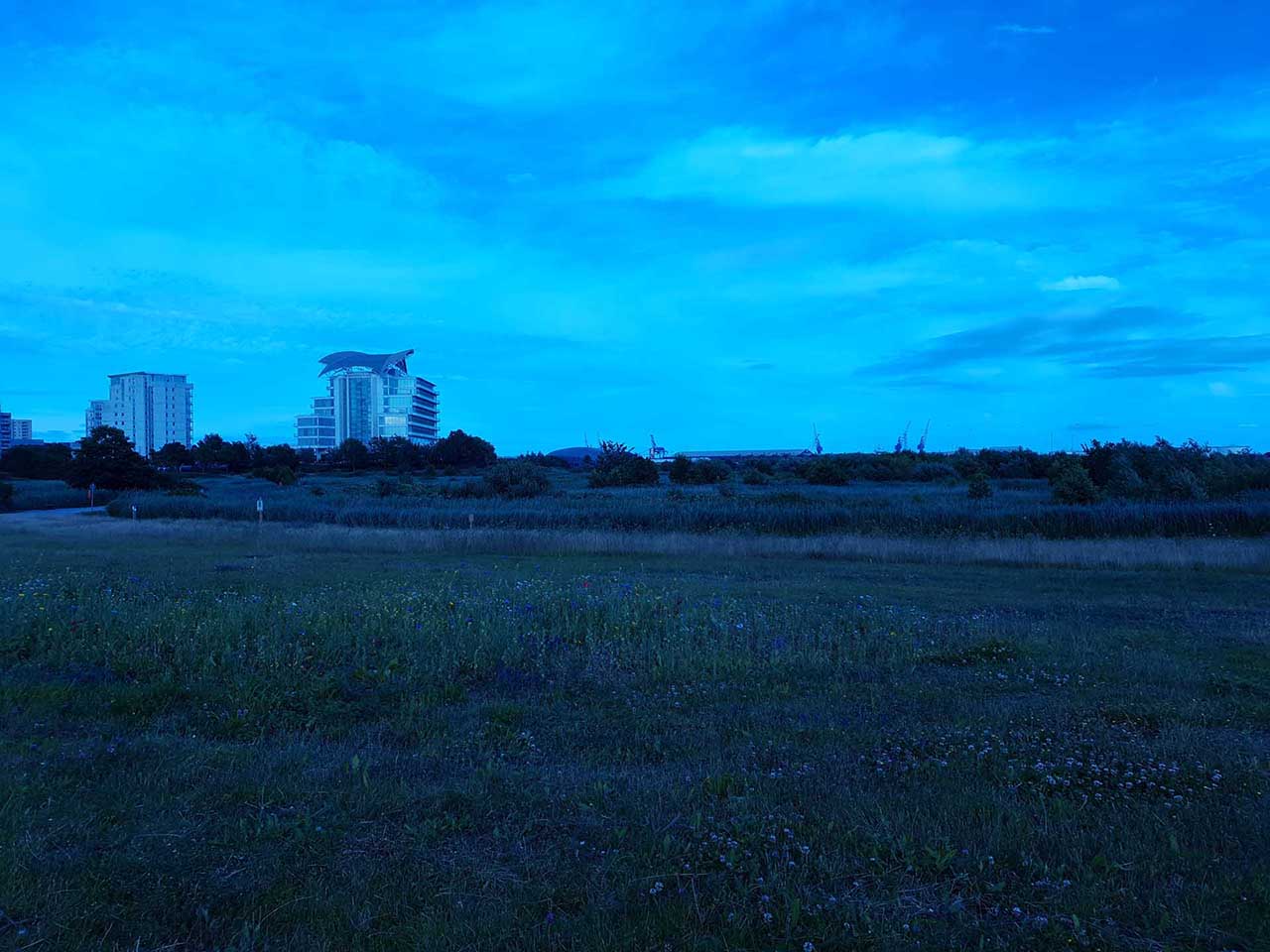 Options within the Samsung S10 Pro camera mode: white balance