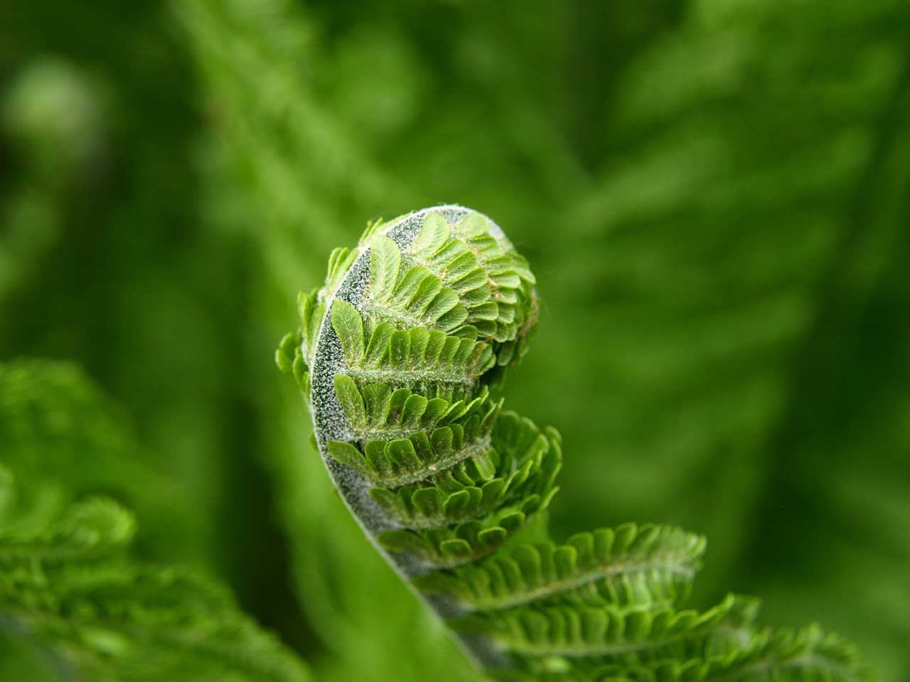 Spring photography tips: 02 Shoot early in the day