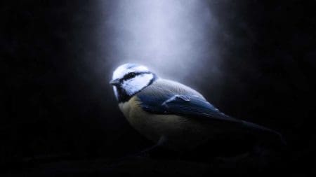 What is a good exposure in photography?